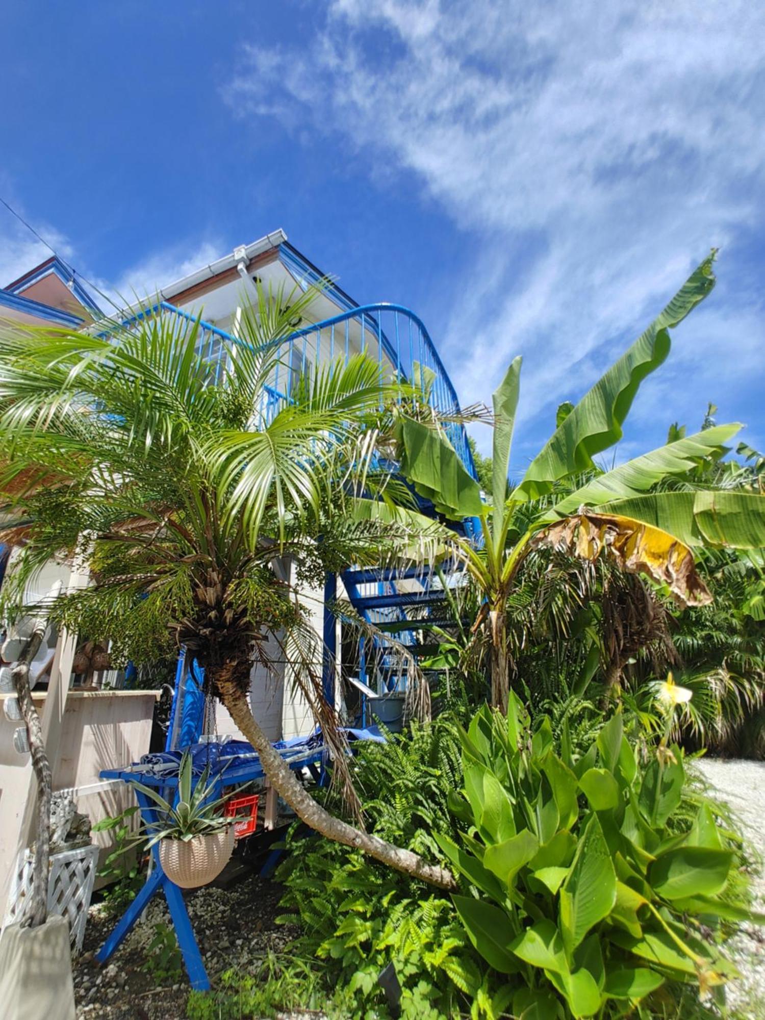 Guest House Churaumi Shimoda  Exterior foto